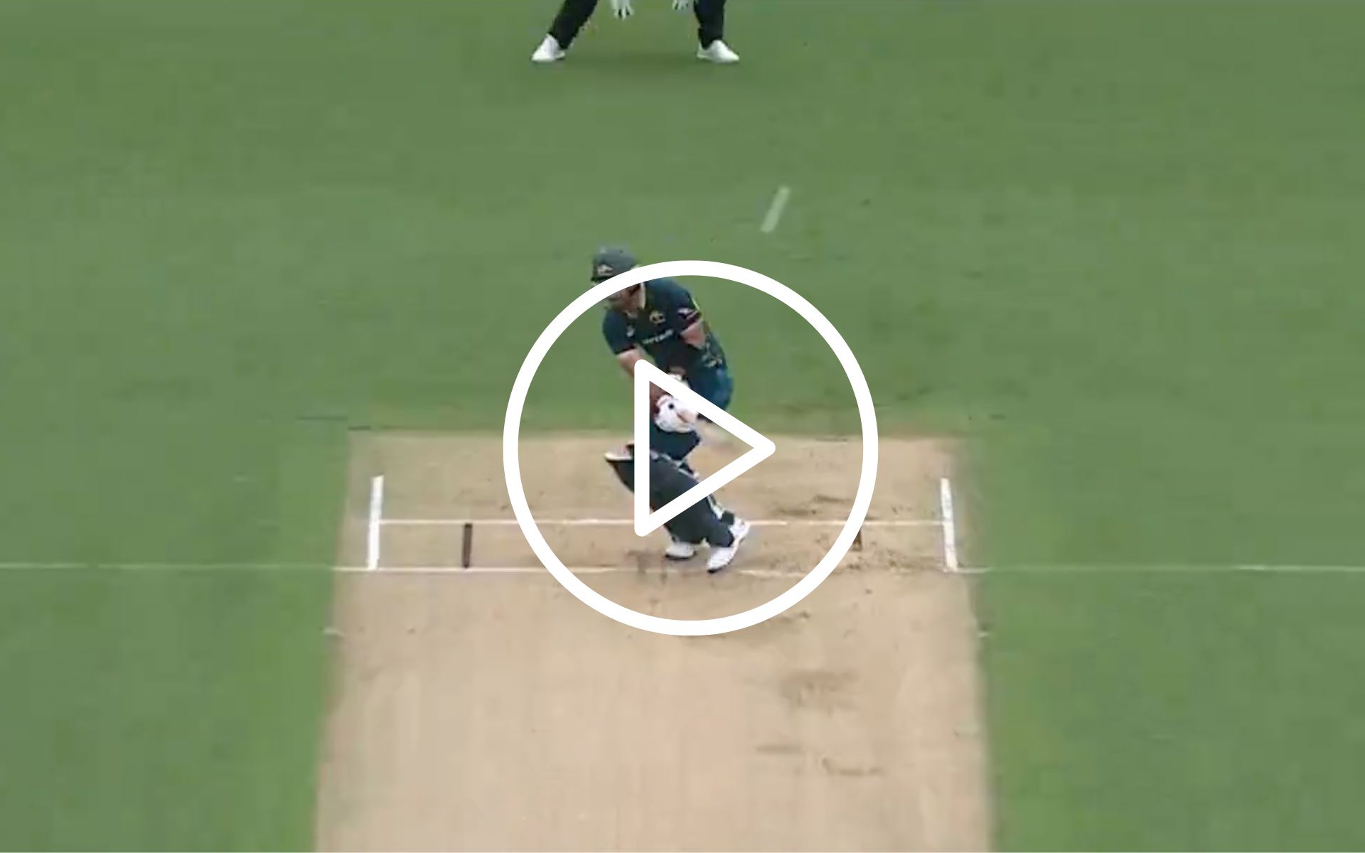 [Watch] Glenn Maxwell's Unusual Flick Shot Brings Disaster; Josh Clarkson Strikes